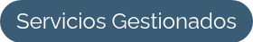 <span style="font-size: 24px;">Servicios Gestionados</span>